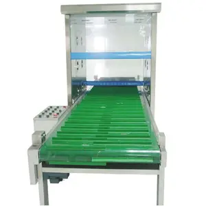 Air Shower Pass Box With Auto Roll Conveyor Line