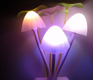 EU Mỹ Cắm Đèn Ngủ LED Nấm Tường Ổ Cắm Đèn Đèn - Product Image 5
