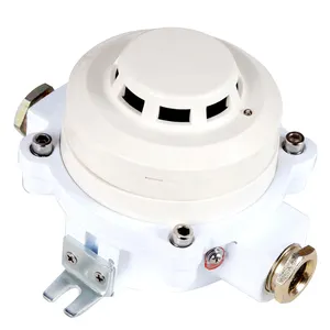 Industrial Explosion Proof Smoke Detector In Alarm