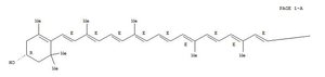 แคปแซนธิน สารสกัดจาก<span class=keywords><strong>พริก</strong></span> ปาปริก้า โอเลอเรซิน สีผสมอาหาร ละลายน้ำ/ละลายในน้ำมัน แคปแซนธิน - Product Image 3