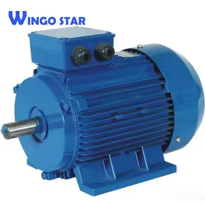 Wingo marque 3 phase d'induction de moteur industriel