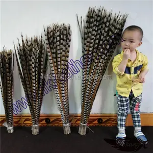 Best Selling Brazil Feathers Natural Color Reeves Pheasant Tail Feathers