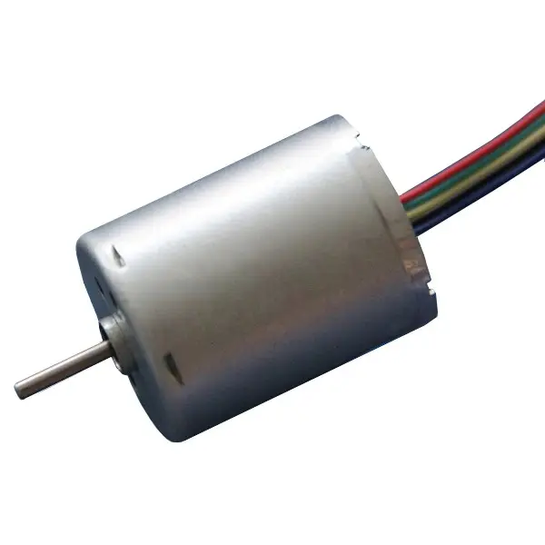 Lange Levensduur 2000H Goedkope Prijs 12V Diameter 24Mm 7000Rpm Hoge Snelheid Dc Borstelloze Motor Voor Auto Radiator Ventilator Dbl2430