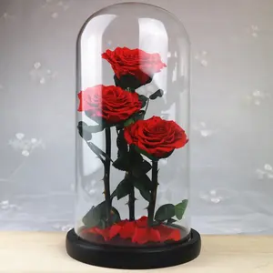 最好的情人节礼物在玻璃圆顶与三朵玫瑰的等级玫瑰保藏花