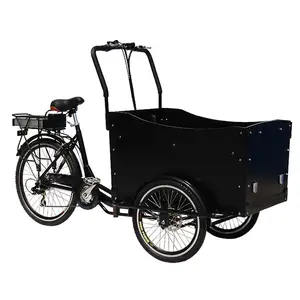 Aluminium alloy reverse trike for sale/electric mini truck cargo trike