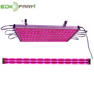 new products 48W Full Spectrum hydroponics LED grow light for indoor plants veg & bloom Fruit