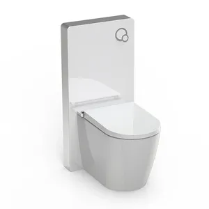 Европейский стиль penumatric смыва резервуар для воды напольная Туалет Стекло цистерна