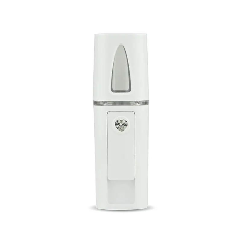 Mini vaporisateur de brume électrique portable alimenté par USB pour le visage, brosse de nettoyage du visage à usage personnel et domestique, masseur étanche