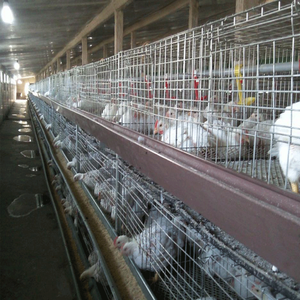 <span class=keywords><strong>Cage</strong></span> de mise à niveau automatique, plie la batterie des poules, prix bon marché, haute qualité - Product Image 5