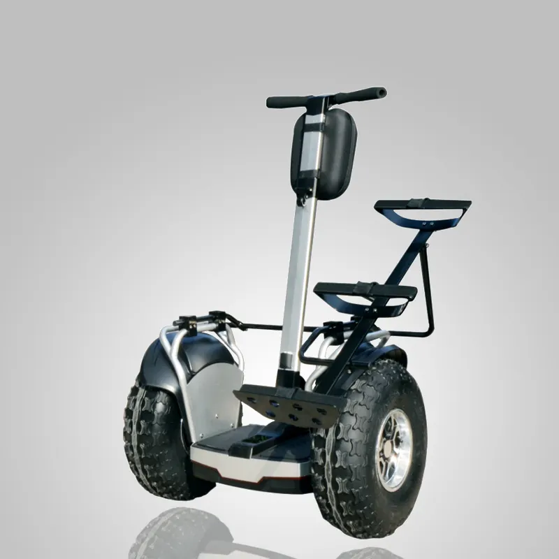 19インチSmart Intelligent Off道路Chariot Electric Golf E Self Balance Scooter