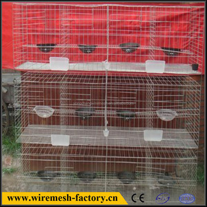 Avancé, polyvalent galvanisé treillis métallique cage pigeon pour