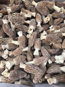 Detan 시장 가격 냉동 블랙 <span class=keywords><strong>Morel</strong></span> 버섯 구매자