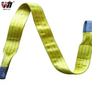 Nâng Web Slings Polyester Webbing Sling Đai An Toàn Chất Lượng Cao Slings