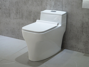 Novo Vaso Sanitário Comfort Height S-trap Durastyle em Uma Peça - Product Image 3