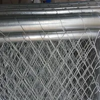 Galvanized Chain Link Wire Mesh Temporary Fence