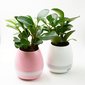 Creativa Altavoz Bluetooth Música Inteligente maceta Planta Táctil Inteligente Piano Music - Product Image 5