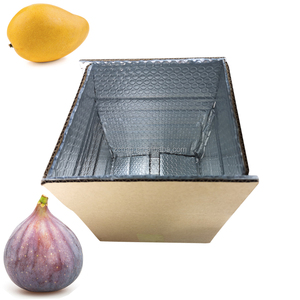 Caja de Embalaje Aislante de Cartón Corrugado Isotérmico de Burbujas de Aluminio Reutilizable de 5 kg <span class=keywords><strong>para</strong></span> Envío de Frutos Secos - Product Image 2