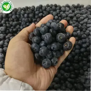 Iqf — bleu frais glacé biologique, aux fruits, en vrac