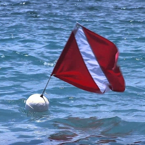 Cờ Lặn Nổi Chất Lượng Cao In Tùy Chỉnh - Product Image 5