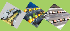 Vendita calda automatico di frutta verdura smistamento mela patata pomodoro arancione avocado cipolla classificazione lavaggio formato pesatura della macchina - Product Image 2