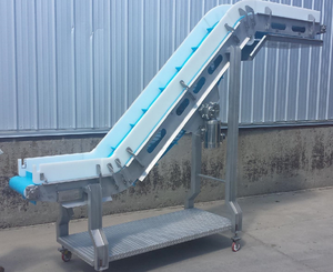 Máy Đóng Gói <span class=keywords><strong>Sushi</strong></span> Linh Hoạt Hairise Vít Phẳng Nhựa Sprocket Xoắn Ốc <span class=keywords><strong>Chain</strong></span> Cover Nghiêng Vành Đai Băng Tải - Product Image 5