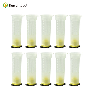 Nicot <span class=keywords><strong>Reine</strong></span> Système D'élevage Fournitures Apicoles Outils D'abeille - Product Image 2