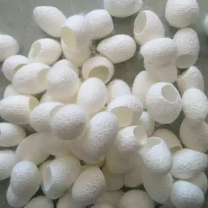 Factory Natural Silkworm Cocoon Silk Fiber Mulberry White Silk Cocoon for Skin Care