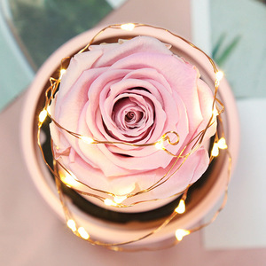 Dôme en verre avec lumière LED et musique Bluetooth avec base en bois pour l'affichage <span class=keywords><strong>de</strong></span> fleurs <span class=keywords><strong>de</strong></span> rose conservées - Product Image 5