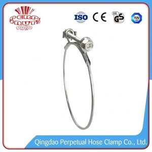 Altamente Pulido <span class=keywords><strong>de</strong></span> Automóviles <span class=keywords><strong>de</strong></span> <span class=keywords><strong>Primavera</strong></span> Sola Abrazadera <span class=keywords><strong>De</strong></span> <span class=keywords><strong>La</strong></span> Manguera - Product Image 2