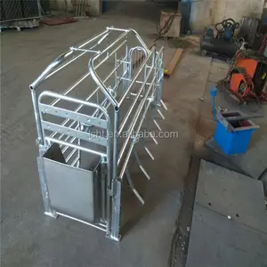 Pig thiết bị nông nghiệp đẻ crate gieo giường