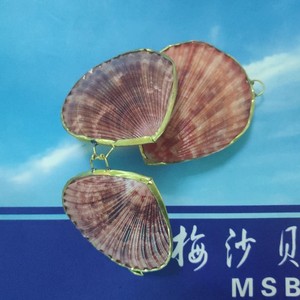 Phụ nữ thiết kế mới hộp đồ trang sức vỏ tự nhiên Seashell - Product Image 2