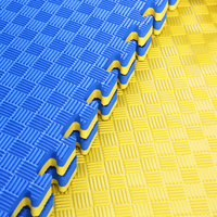 Seconde main judo taekwondo tigre tapis de puzzle