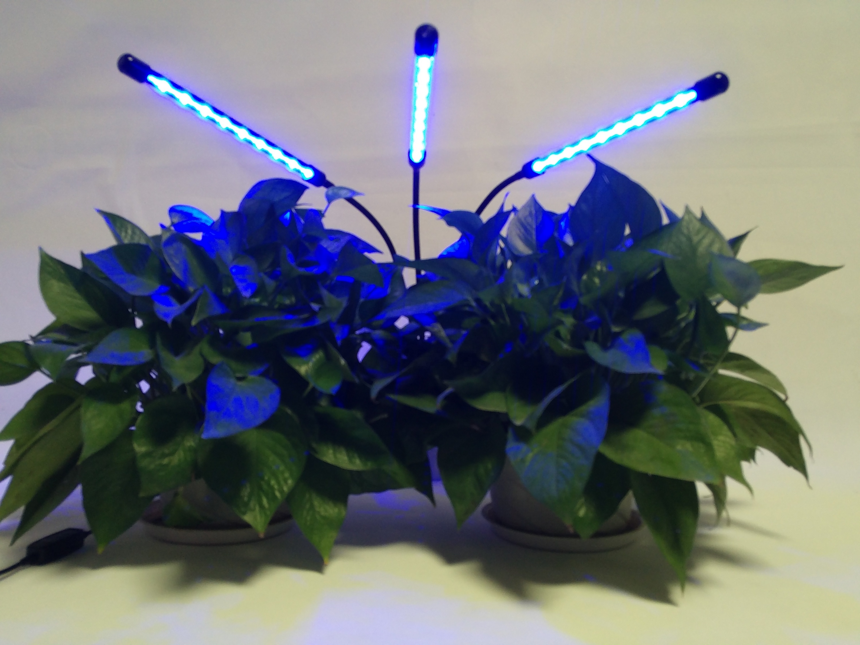 DC5V/2A tres en la cabeza de clip de luz led crecer las plantas de interior