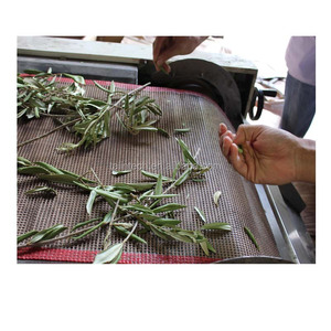 Industriale Macchina di elaborazione Origano/Origano Foglie di Essiccazione Macchina - Product Image 2