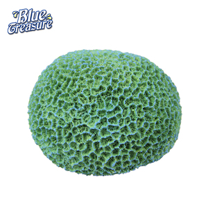 Precio Razonable artificial acuario decoración océano arrecife corales frag - Product Image 2