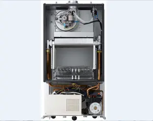 ラジエーター/床暖房および温水用壁掛けガスボイラー-2005年以来のメーカー