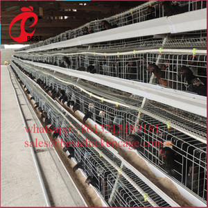 Nouvelle conception de cage d'élevage de volailles de type H, poulailler à 3 niveaux, cages à batterie pour <span class=keywords><strong>poules</strong></span> <span class=keywords><strong>pondeuses</strong></span>, vente en Algérie à bas prix - Product Image 4