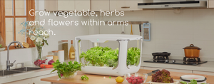 Ferme verticale, boîte de culture intérieure pour légumes, systèmes de culture hydroponique pour germes - Product Image 5
