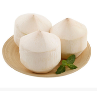 Éplucheuse de noix de coco, électrique, Portable, vert, outil de découpe