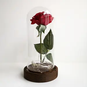 Rode roos in glas met houten bodem, bloem in led glass dome