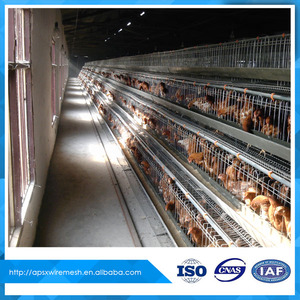 Batería de pollo jaula para gallinero de tipo pirámide - Product Image 4