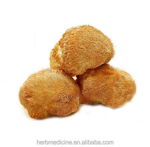Fourniture en vrac, champignons de santé séchés naturels entiers, champignons à crinière de lions à vendre - Product Image 2