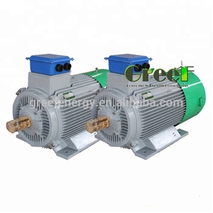 Basse vitesse bas RPM haute efficacité personnalisé 30 <span class=keywords><strong>kw</strong></span> générateur à <span class=keywords><strong>aimant</strong></span> <span class=keywords><strong>permanent</strong></span>/générateur magnétique d'alternateur - Product Image 6