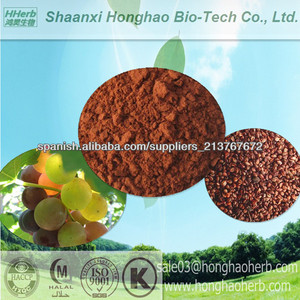 de alta pureza polvo rojo marrón 95 % extracto de semilla de uva opc - Product Image 1