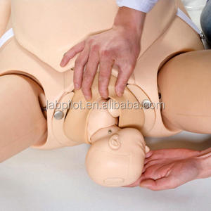 Sistema di Formazione di Competenze di ostetricia, Parto Cura Di Emergenza e Formazione Infermieristica Manichino - Product Image 3