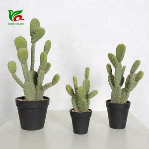 Plante du désert en éponge, <span class=keywords><strong>cactus</strong></span> artificiel en plastique fait à la main, Opuntia, décoration de meubles, <span class=keywords><strong>cactus</strong></span> décoratif de 23 cm - Product Image 5