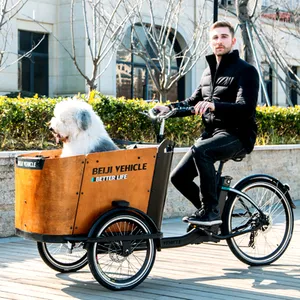 Sepeda Kargo Pembawa Anjing Peliharaan Elektrik Kualitas Tinggi untuk Anjing Besar