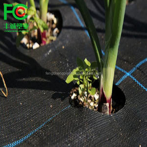 Tissu de paysage de tapis de barrière de mauvaises herbes de jardin de <span class=keywords><strong>géotextile</strong></span> de Offre Spéciale avec des trous <span class=keywords><strong>pour</strong></span> des plantes de fraise - Product Image 3