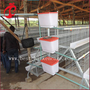 Nouveau design 5 niveaux 200 oiseaux poules pondeuses poulet couche de grillage et chaudière cage avec haute qualité - Product Image 6