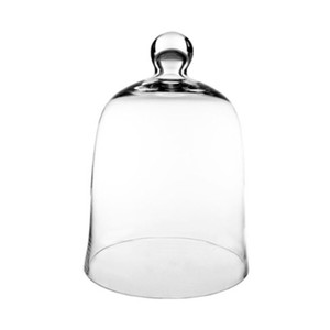 Vidrio Cloche Bell Jar planta terrario Cloche apertura campana cristal Cloche - Product Image 2